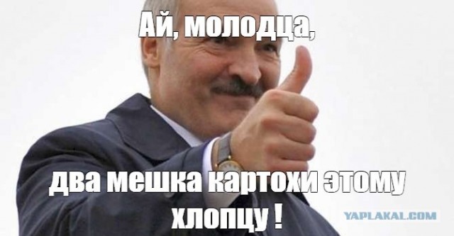 Шарф