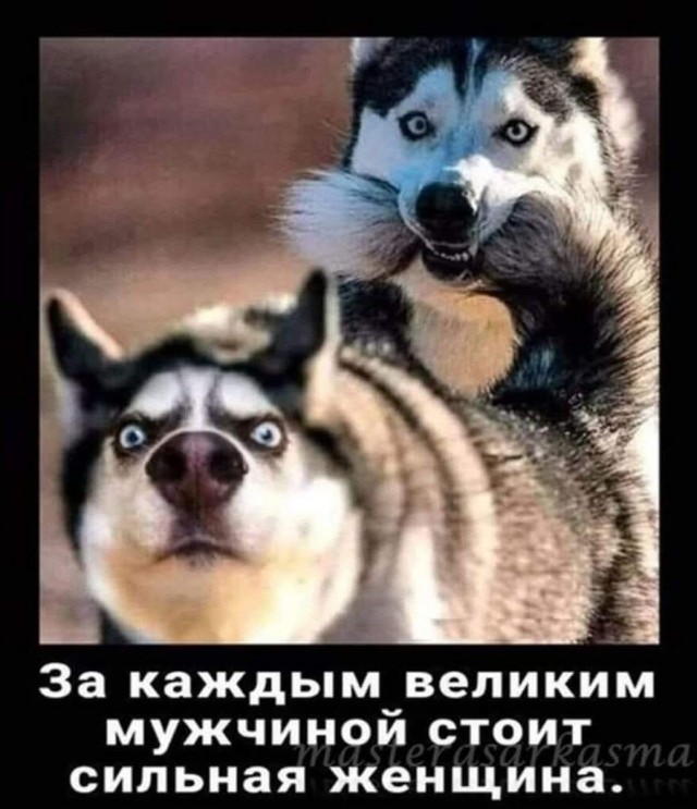 Последняя маленькая пятница 2025