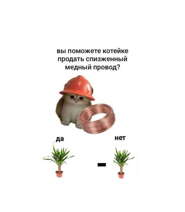 Дегрономикон 10