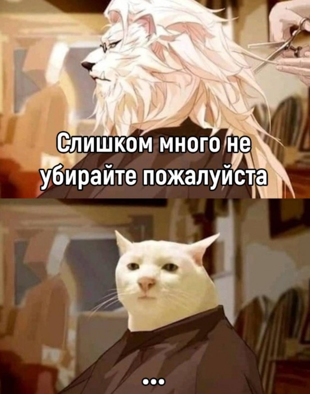 Картинки для деградации 129 (разной степени свежести)