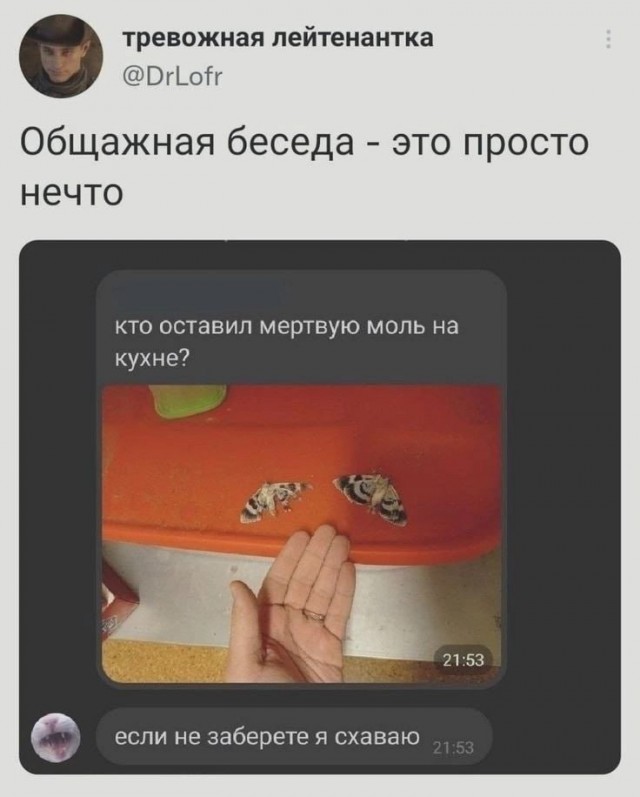 Арктиновая моль: монстр из ваших ночных кошмаров