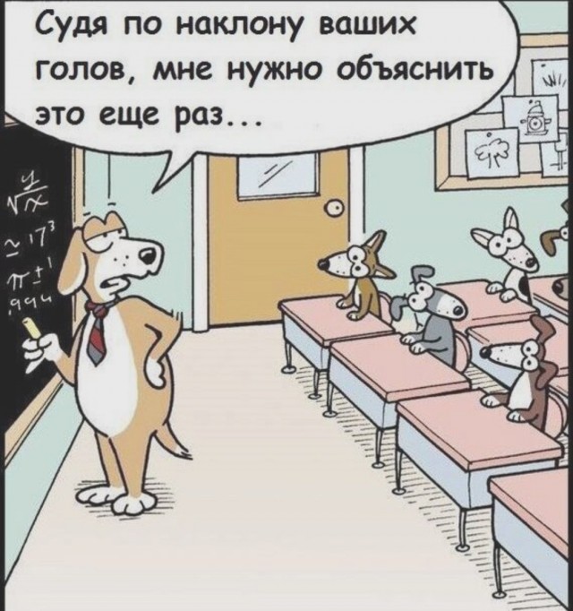 Собака-барабака.
