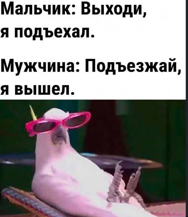 Субботние картинки
