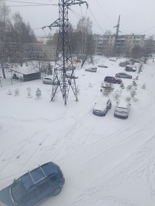 Перезимовали