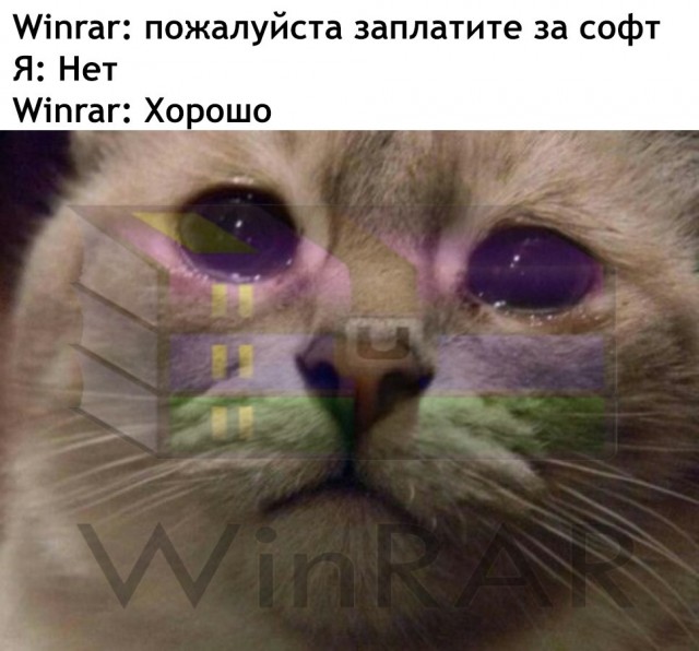 Кто эти святые люди?!