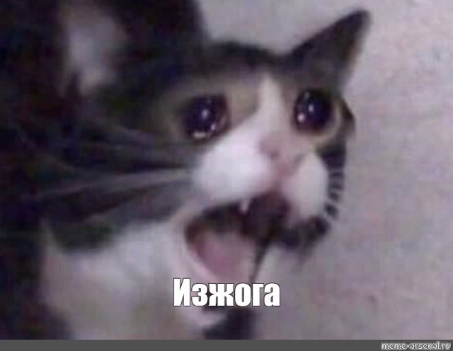 Амлет с рисом