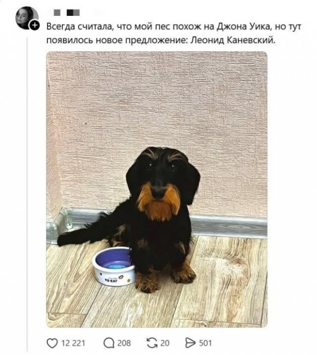 Веселое настроение в картинках 16.08.26