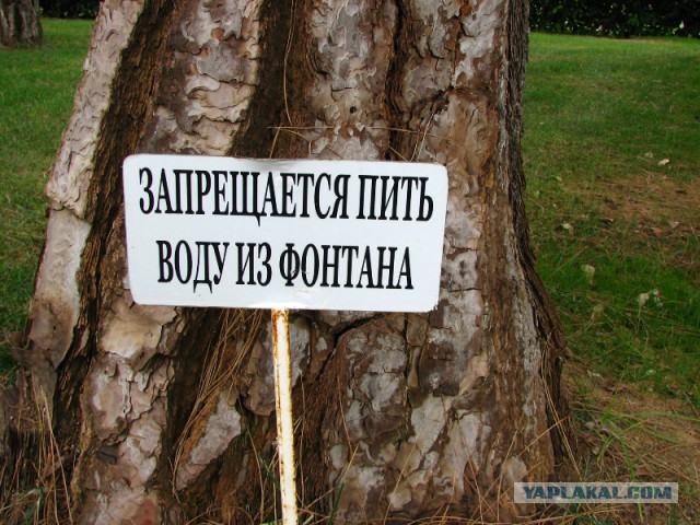 Руссо туристо..