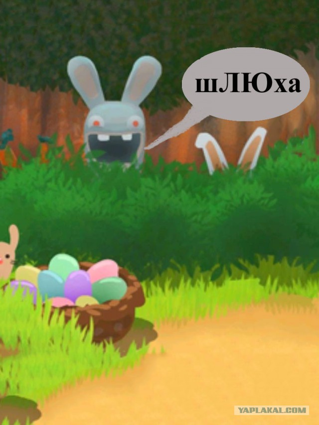 Медведи почти на все случаи жизни