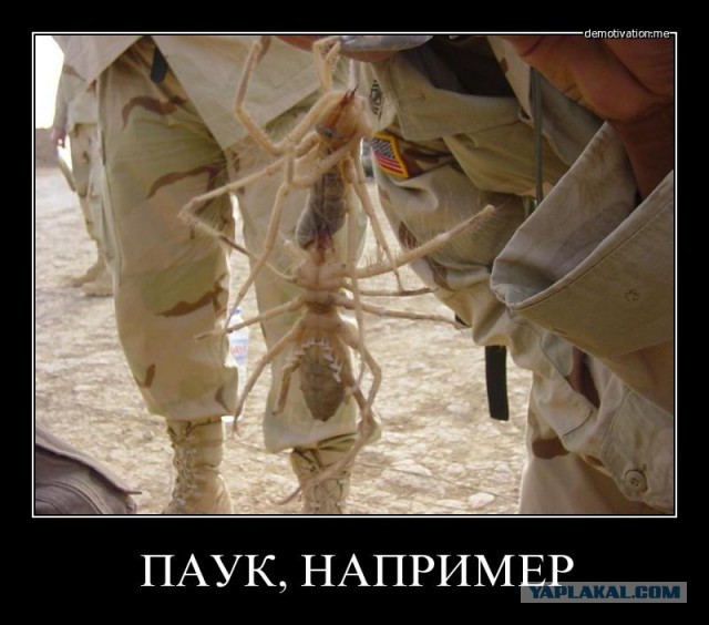 Что за тварь?