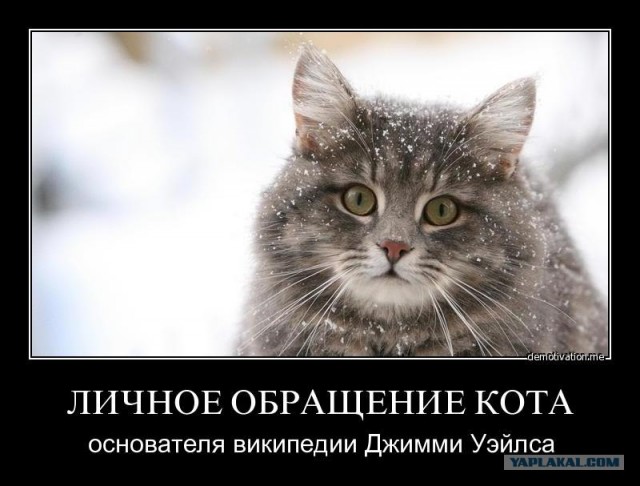 В 2012 Wikipedia наберет больше денег