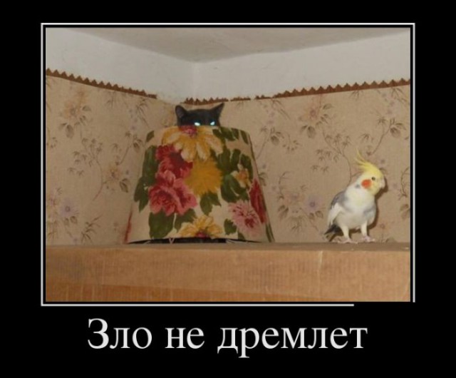 Весёлое из сети