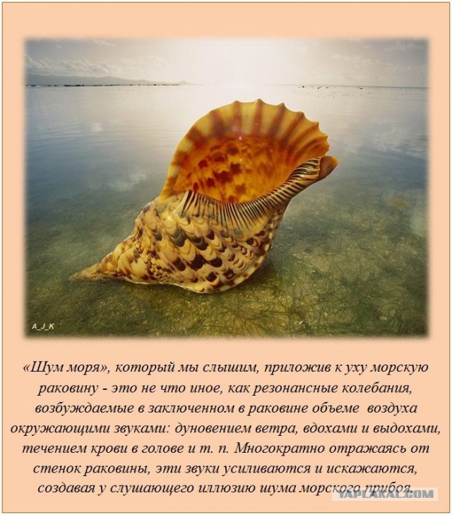 20 фактов обо всем