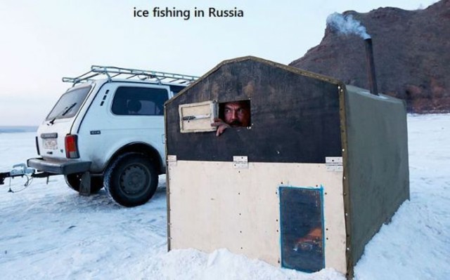 Весёлые картинки