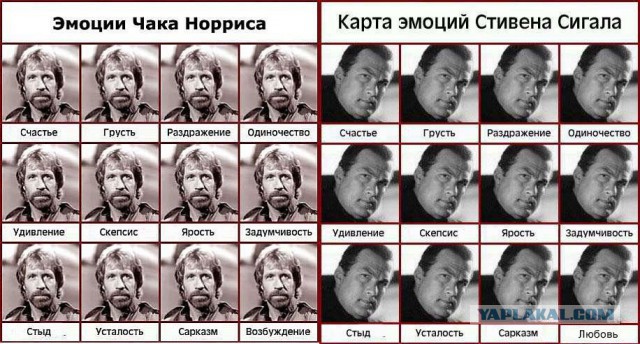 Безграничное веселье