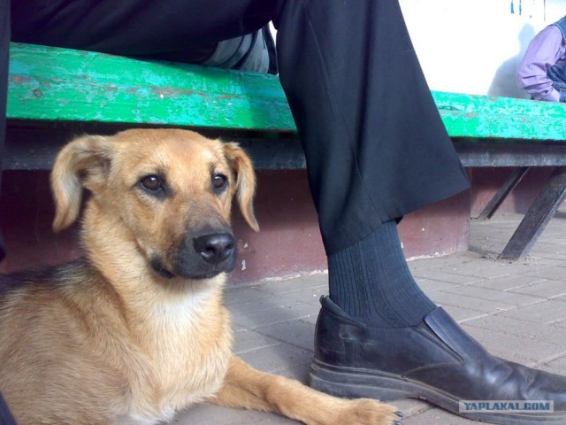 Прощание с летом