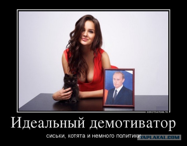 Весёлости в картинках