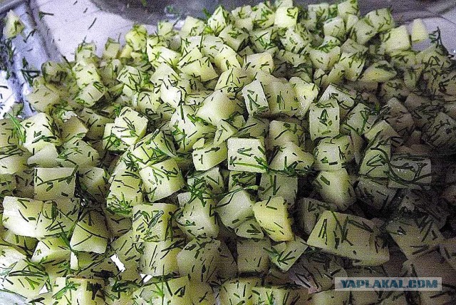 Шведский стол для Ати, Кулинары поздравляют