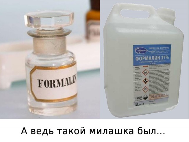 ЯПлакал в лицах