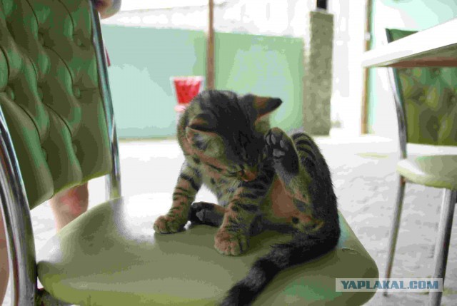 Поездка на Малый Утриш