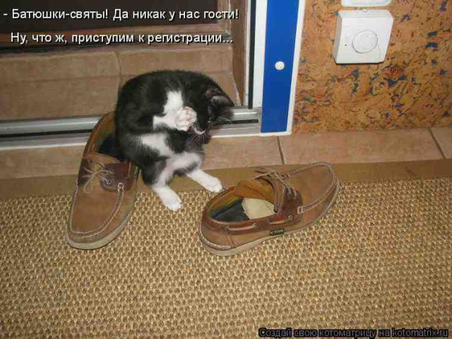 Котэподборка