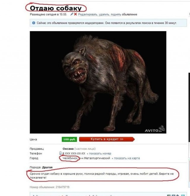 17 самых объявлений с Авито