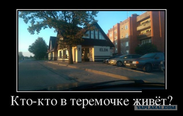 Демотиваторы