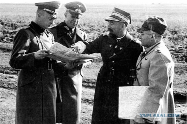 Польский телеканал извинился перед Мединским за ведущую