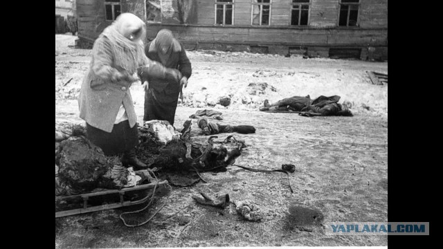 Как сирота из Ленинграда стала одной из богатейших женщин мира