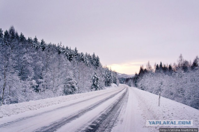 Город ЧМ-2018 сейчас. Иностранцы будут в шоке