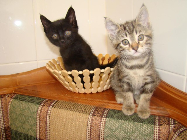 А тем временем в Австралии