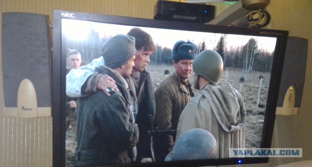 Те самые колонки модели "Давай щас для нового компа какие-нибудь дешёвенькие возьмём, а потом через месяц-другой получше купим"