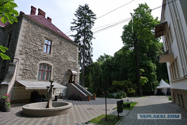 Украина, Донбасс, Крым. Я узнал правду