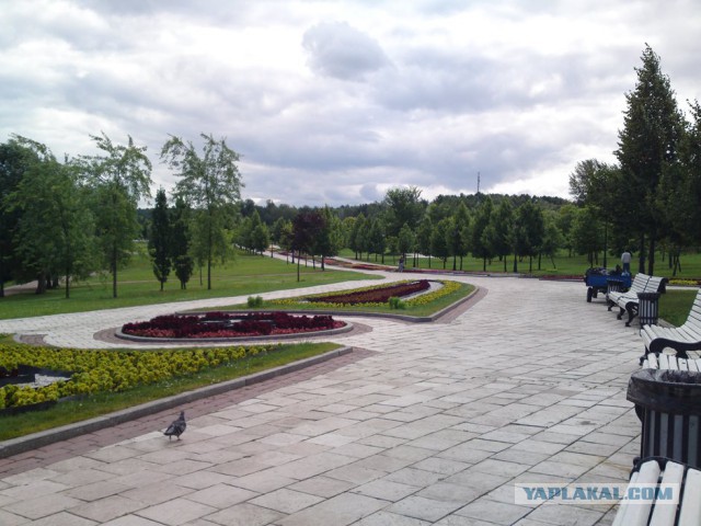 Прогулка по курганам Вятичей и языческому капищу в Царицыно