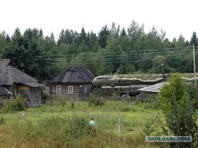Порция картинок из сети