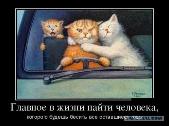 Картинки