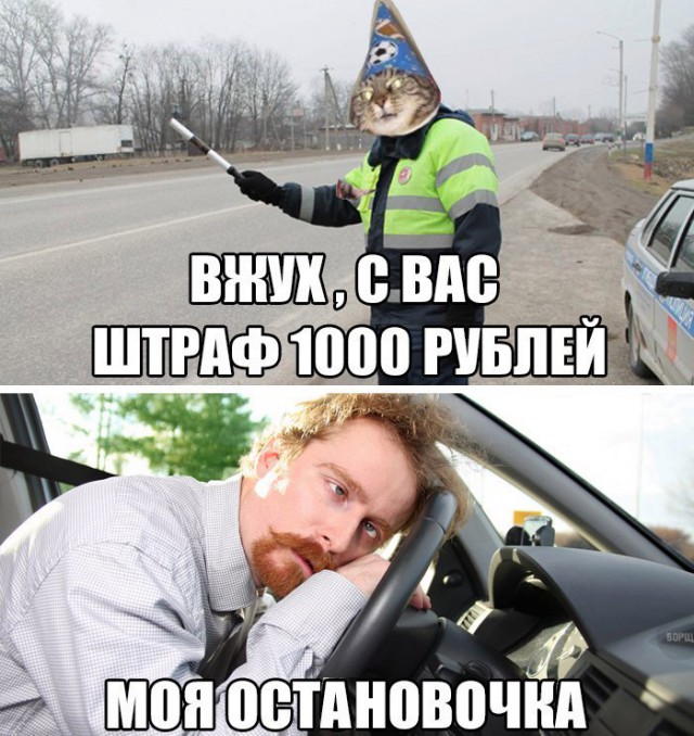 Подборка интересных и веселых фото