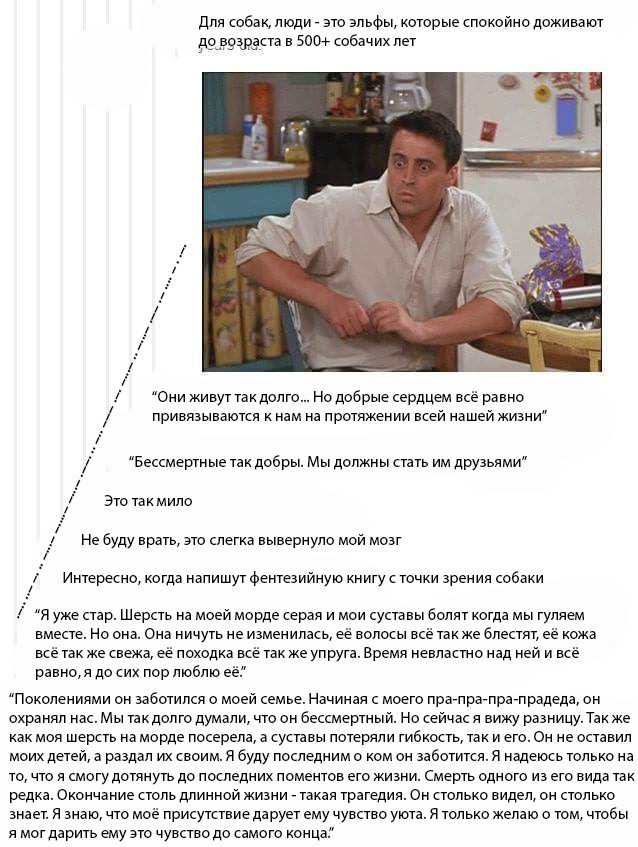 Человек - лучший друг собаки