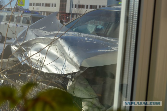 Жизнь как она есть 2