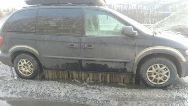 Подборка безудержного веселья