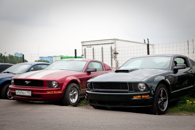 ДР mustang club