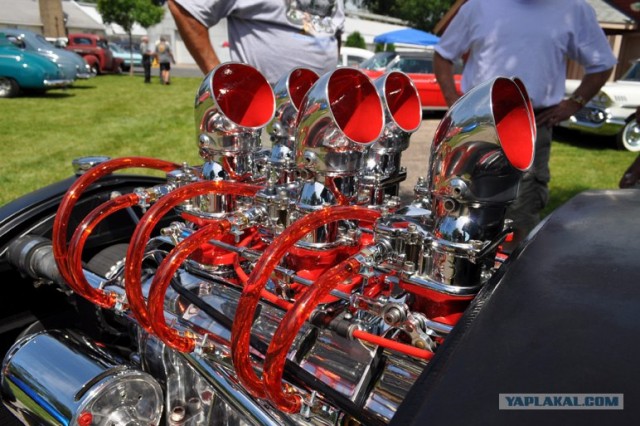 Back to the 50-s show