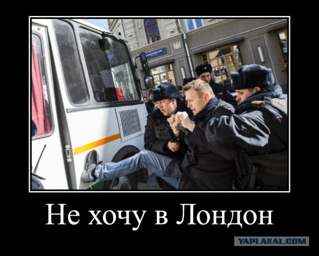 "Сами прутся… Довольные такие"