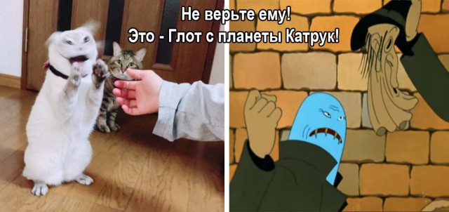 Фото, сделанных в момент, лучше которого и не придумаешь