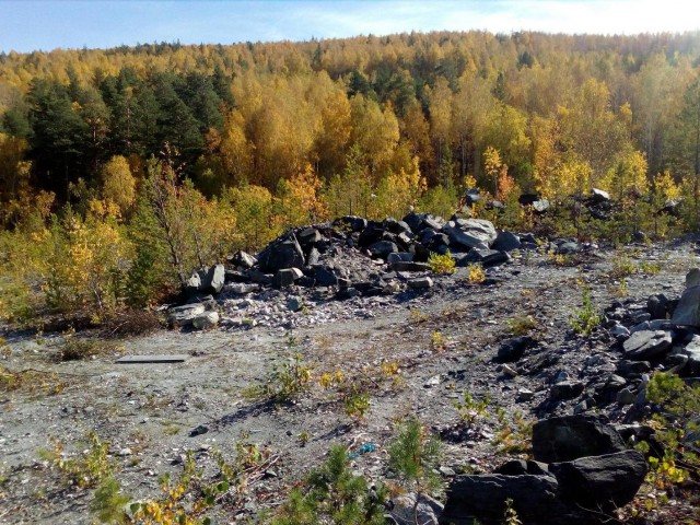 Осенняя тайга