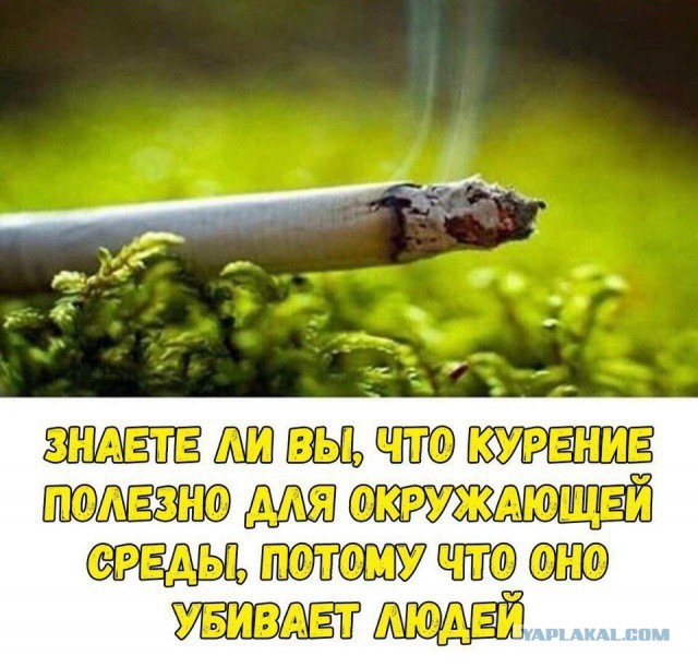 Стандартный адекватный юмор в картинках для всех