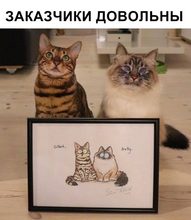 Немного милоты