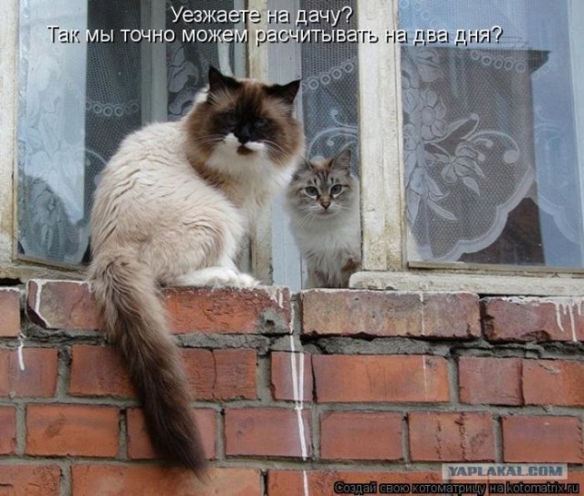 Только чистую постель застелил........