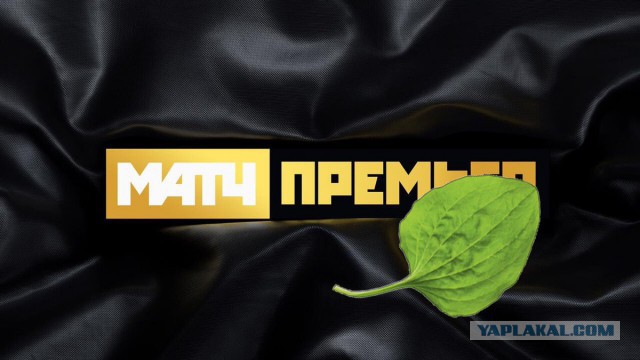 Чемпионат России по футболу 2018-2019(часть Vlll)