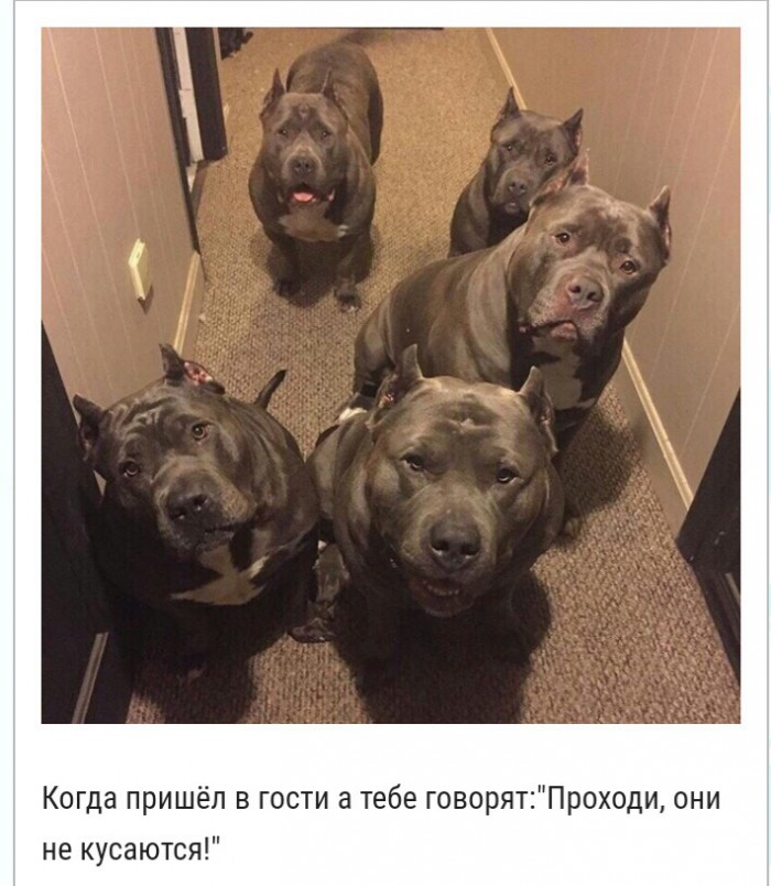 Подборка